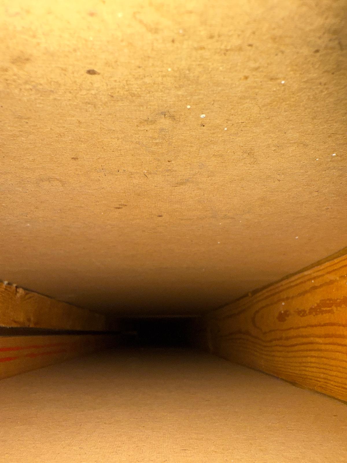 After — Dryer transition duct cleaning